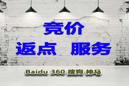 SEM竞价优化策略：成功案例解析
